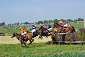 The Fitzwilliam Milton Point to Point at Dingley Racecourse 2018 137